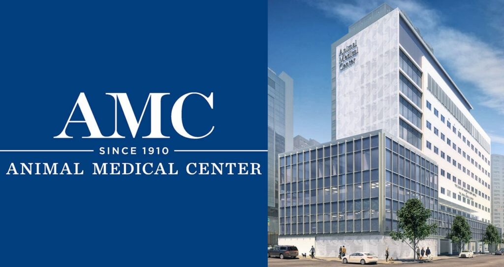 Best Vet Hospitals in America Top 10 Vet Clinics in the U.S.
