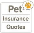 Pet Insurance Quotes - Get Pet Insurance Rates Now